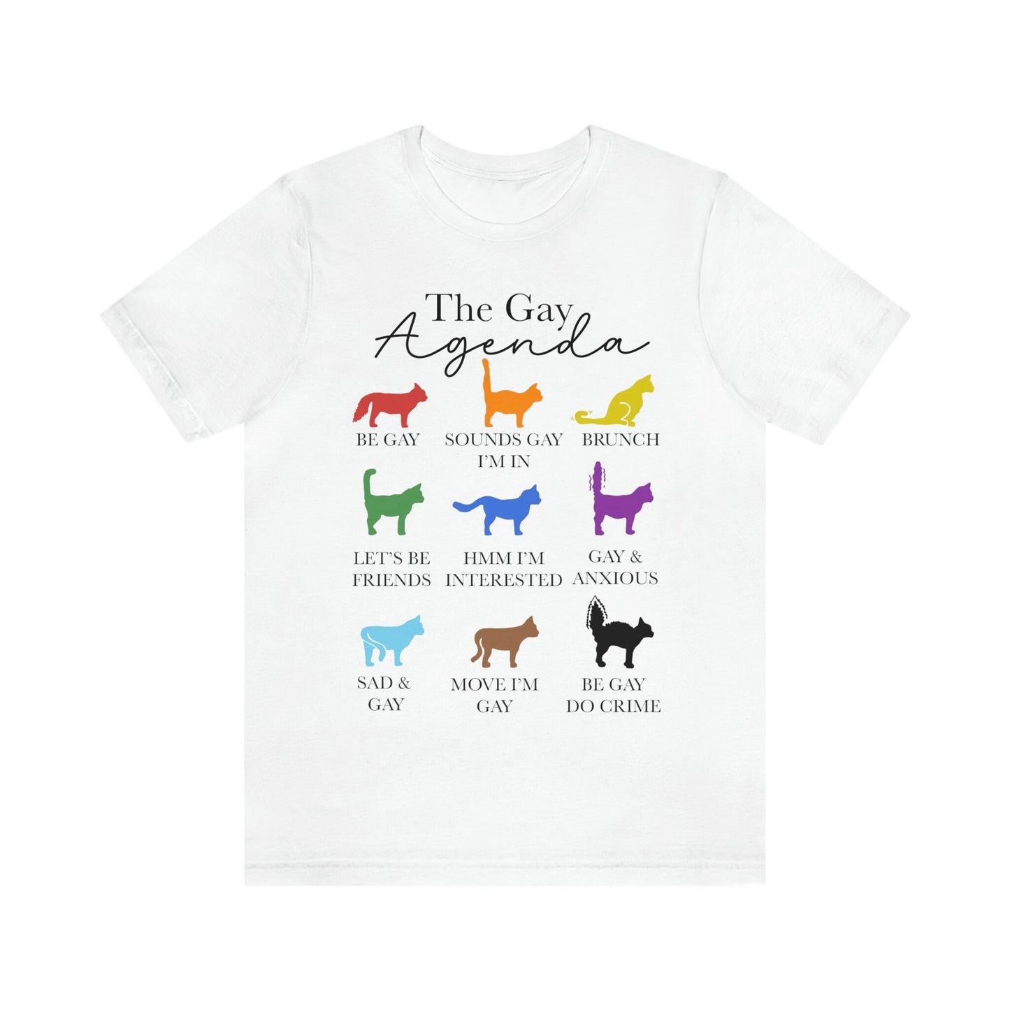 The gay agenda shirt