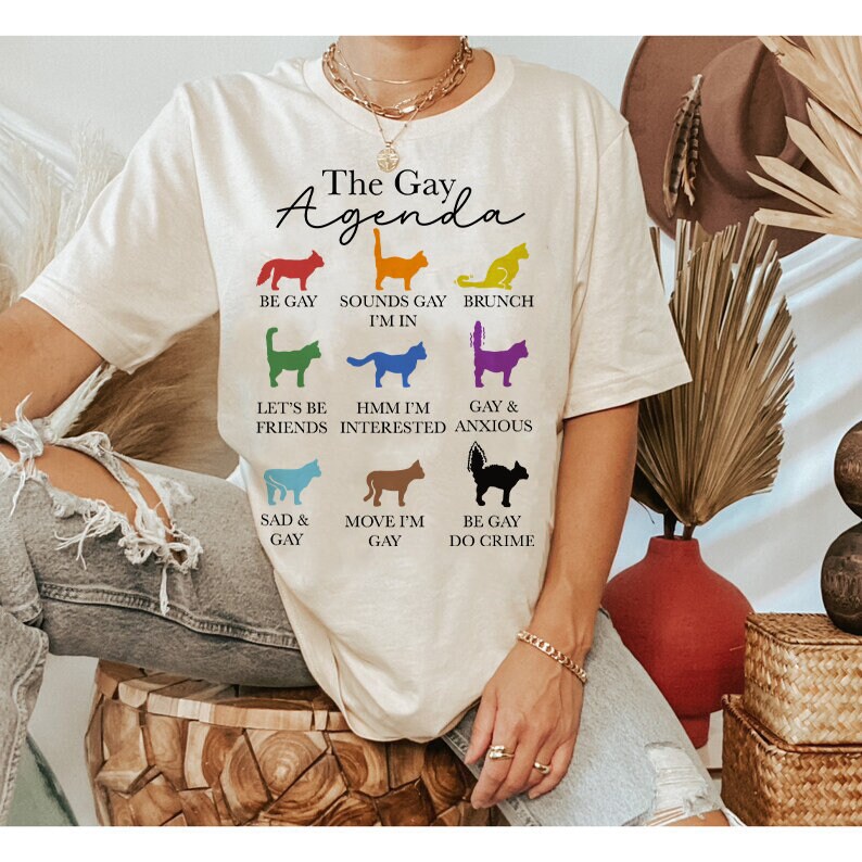 The gay agenda shirt