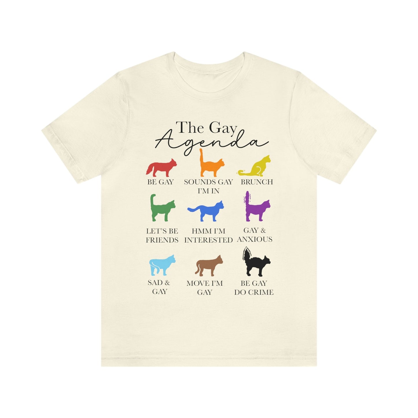 The gay agenda shirt