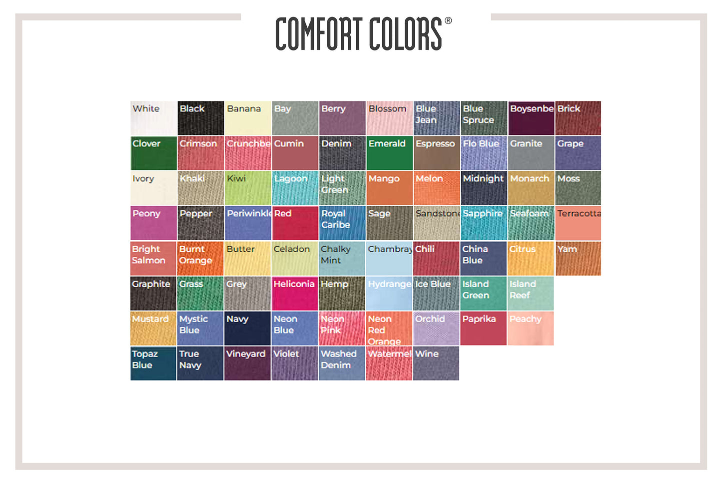 Comfort Colors - Gender kills my vibe shirt