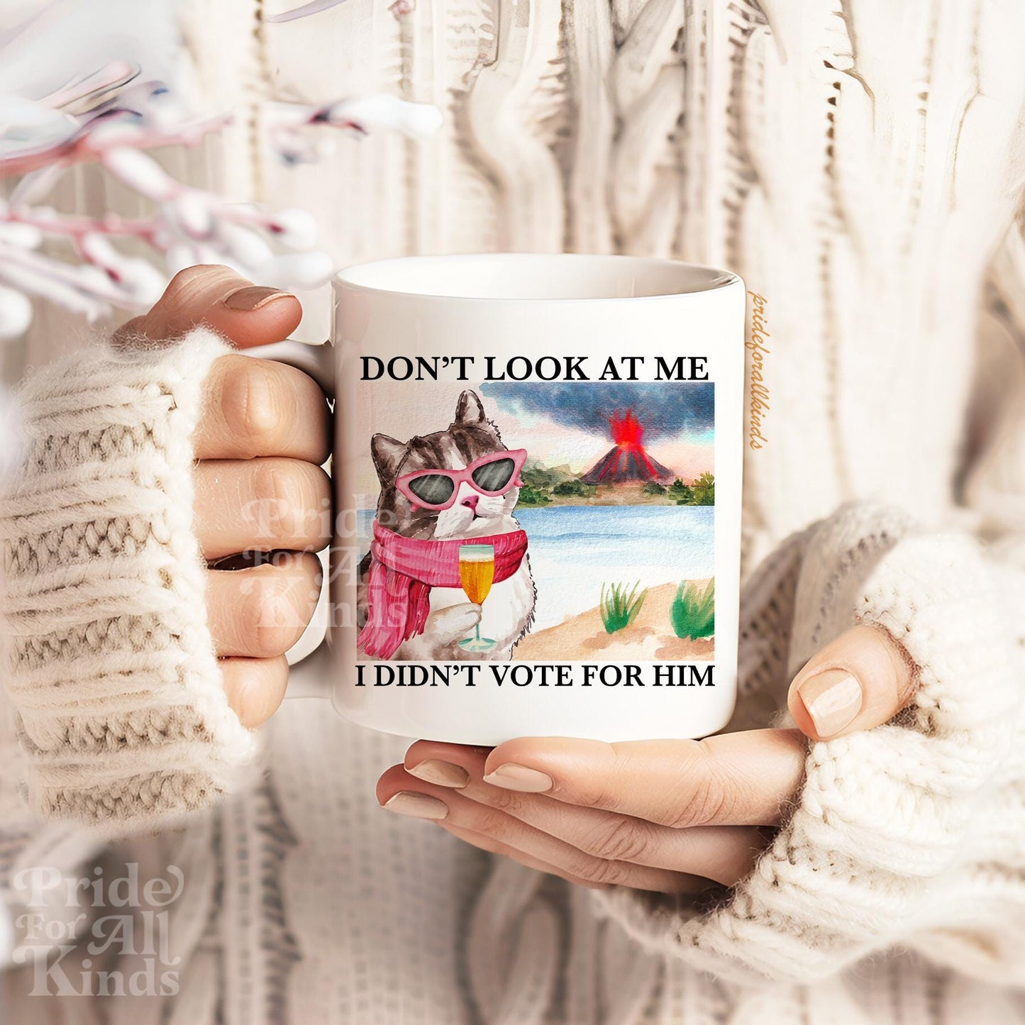 I didnt vote for him mug | anti trump coffee mug | subtle anti trump | liberal mug | feminist mug | social democrat | leftist gifts