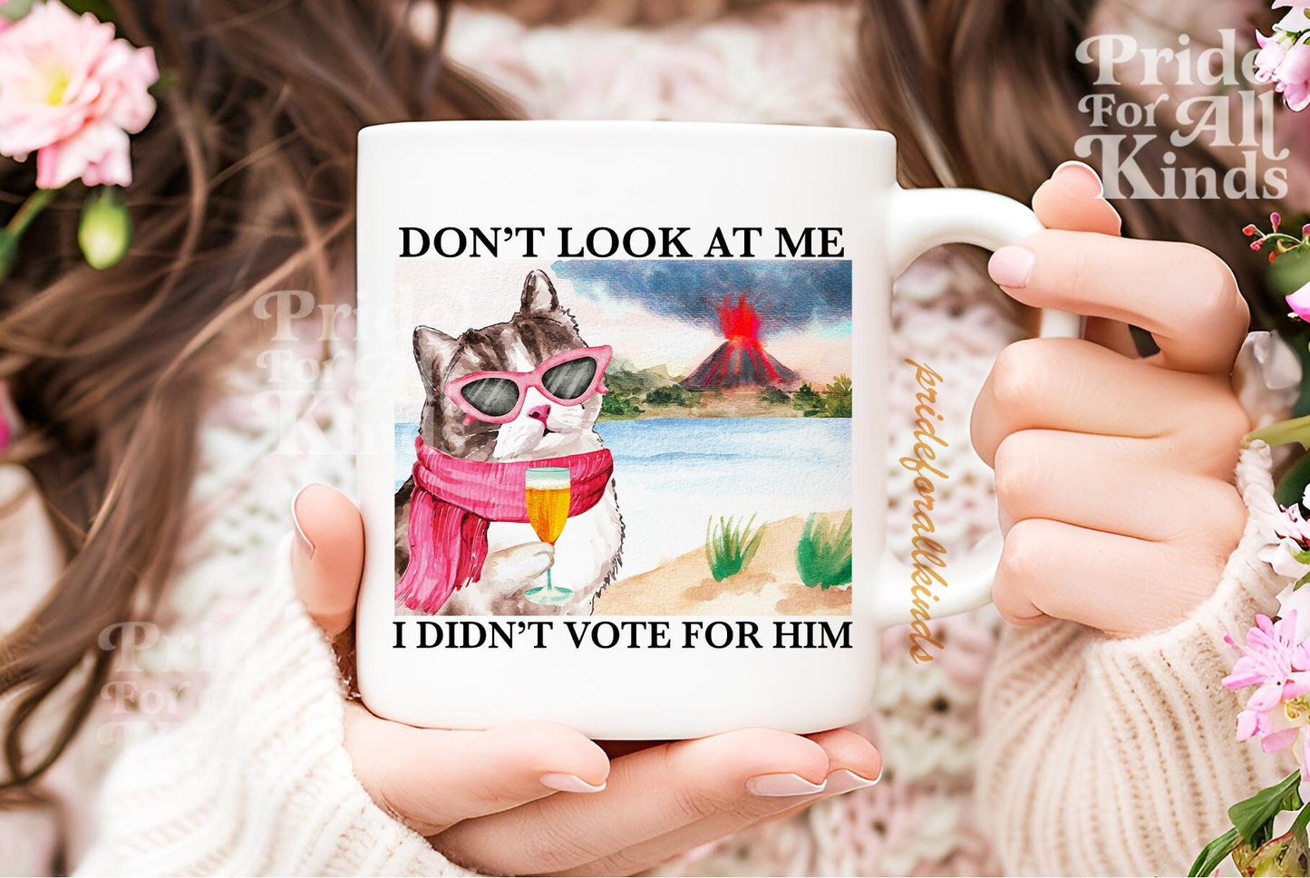 I didn't vote for him mug