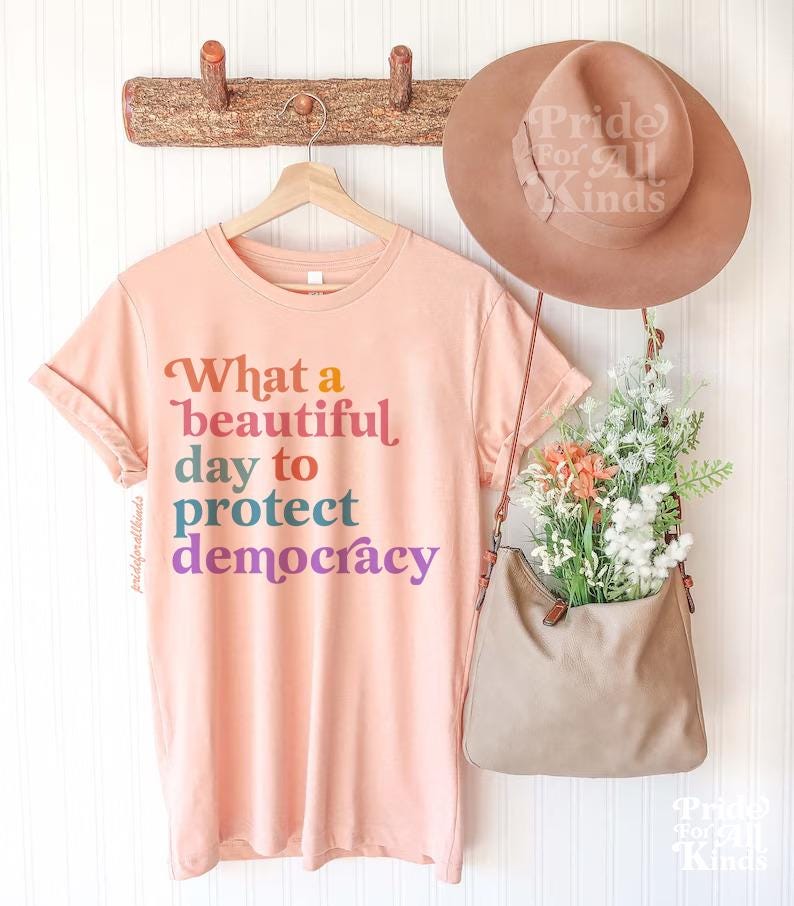 what a beautiful day to protect democracy shirt | defend democracy| liberal tshirt | subtle anti trump shirt | fdt shirt | social justice |
