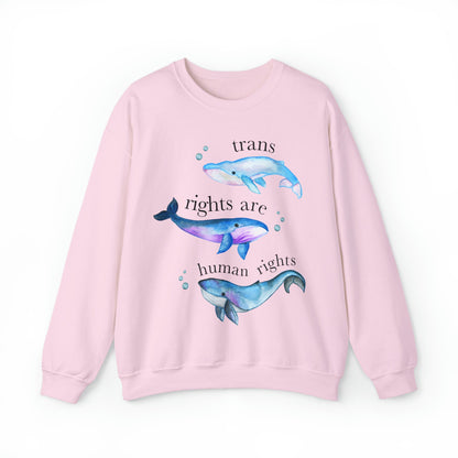 trans rights are human rights sweatshirt