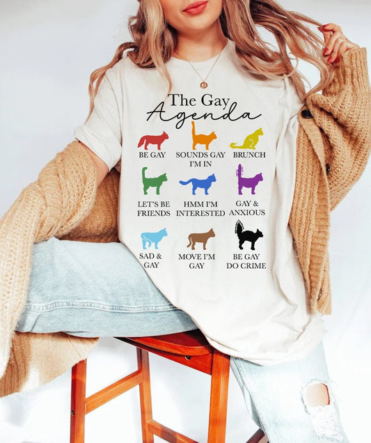 The gay agenda shirt