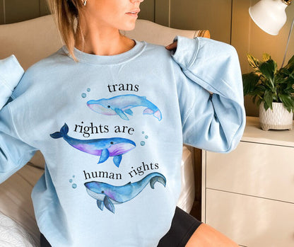 trans rights are human rights sweatshirt