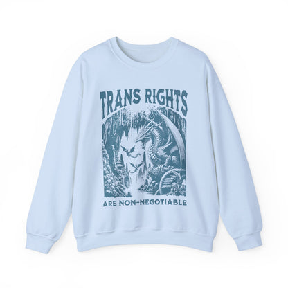trans rights are non negotiable | trans sweater | trans rights are human rights | trans youth | protect trans kids | furry trans | pride