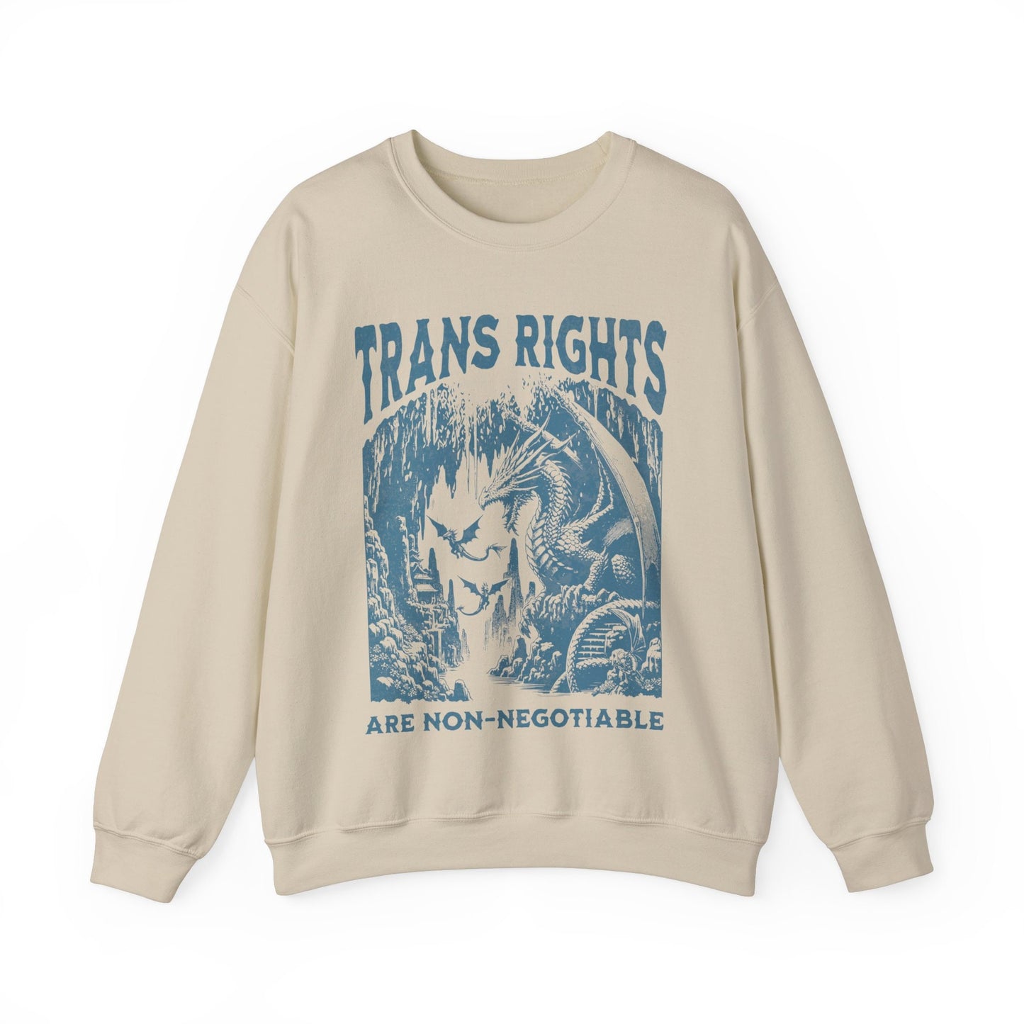 trans rights are non negotiable | trans sweater | trans rights are human rights | trans youth | protect trans kids | furry trans | pride