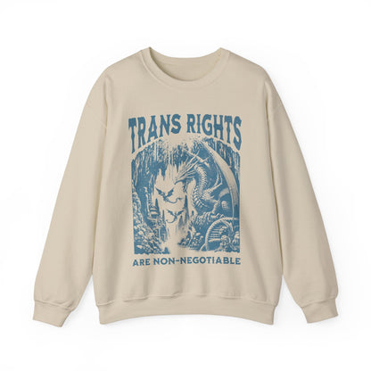 trans rights are non negotiable | trans sweater | trans rights are human rights | trans youth | protect trans kids | furry trans | pride