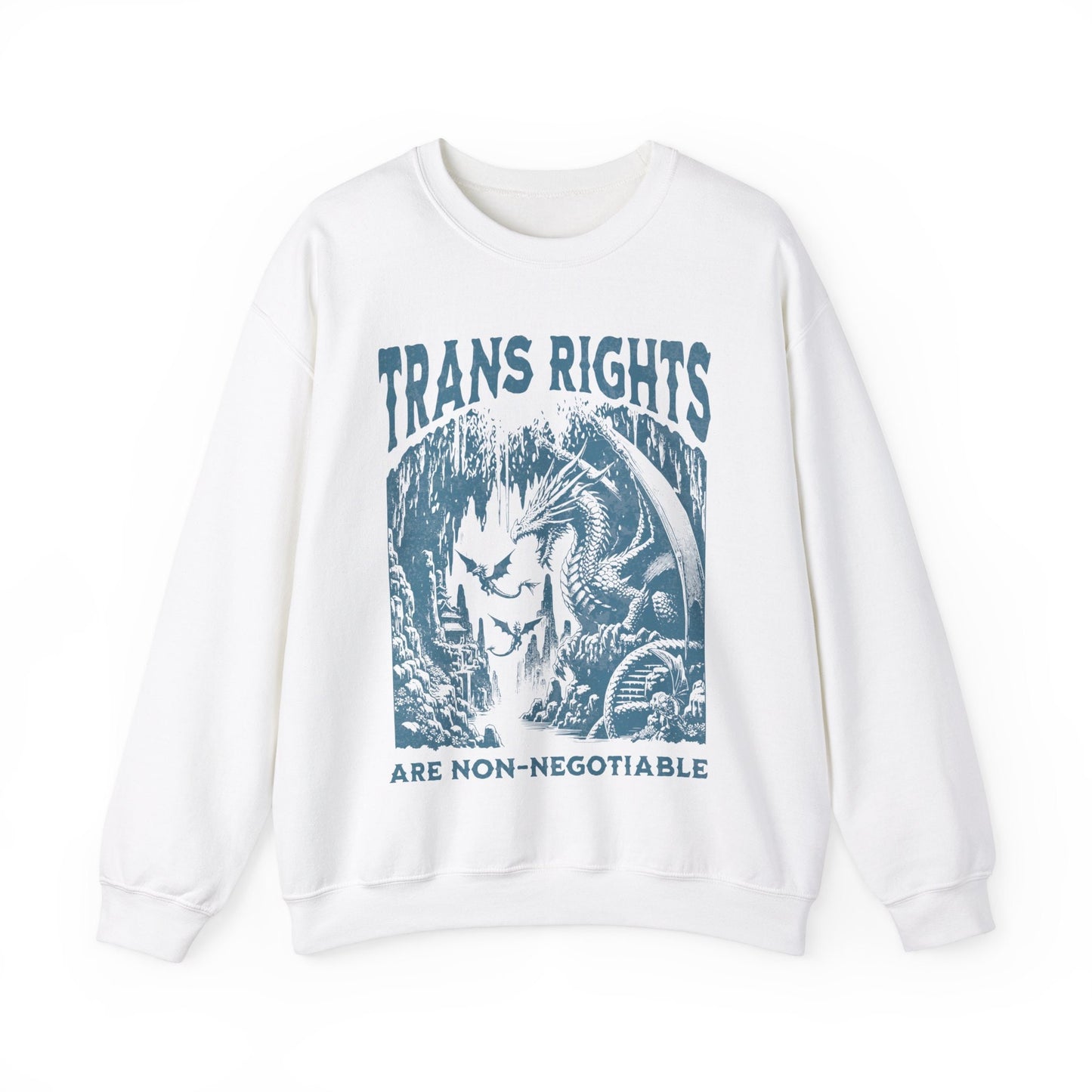 trans rights are non negotiable | trans sweater | trans rights are human rights | trans youth | protect trans kids | furry trans | pride