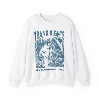trans rights are non negotiable | trans sweater | trans rights are human rights | trans youth | protect trans kids | furry trans | pride