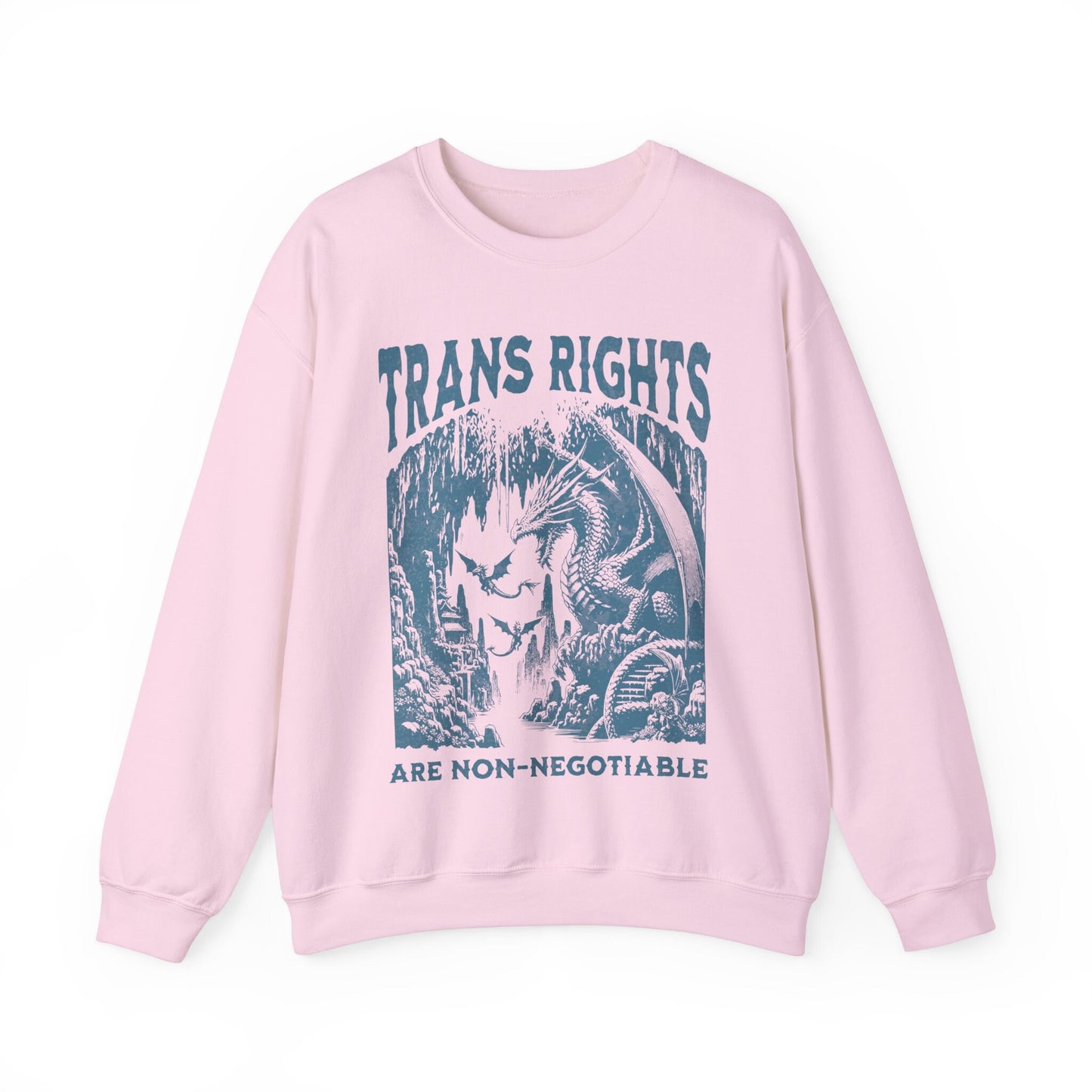 trans rights are non negotiable | trans sweater | trans rights are human rights | trans youth | protect trans kids | furry trans | pride