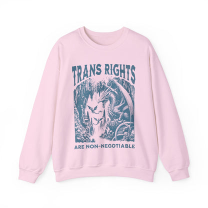trans rights are non negotiable | trans sweater | trans rights are human rights | trans youth | protect trans kids | furry trans | pride
