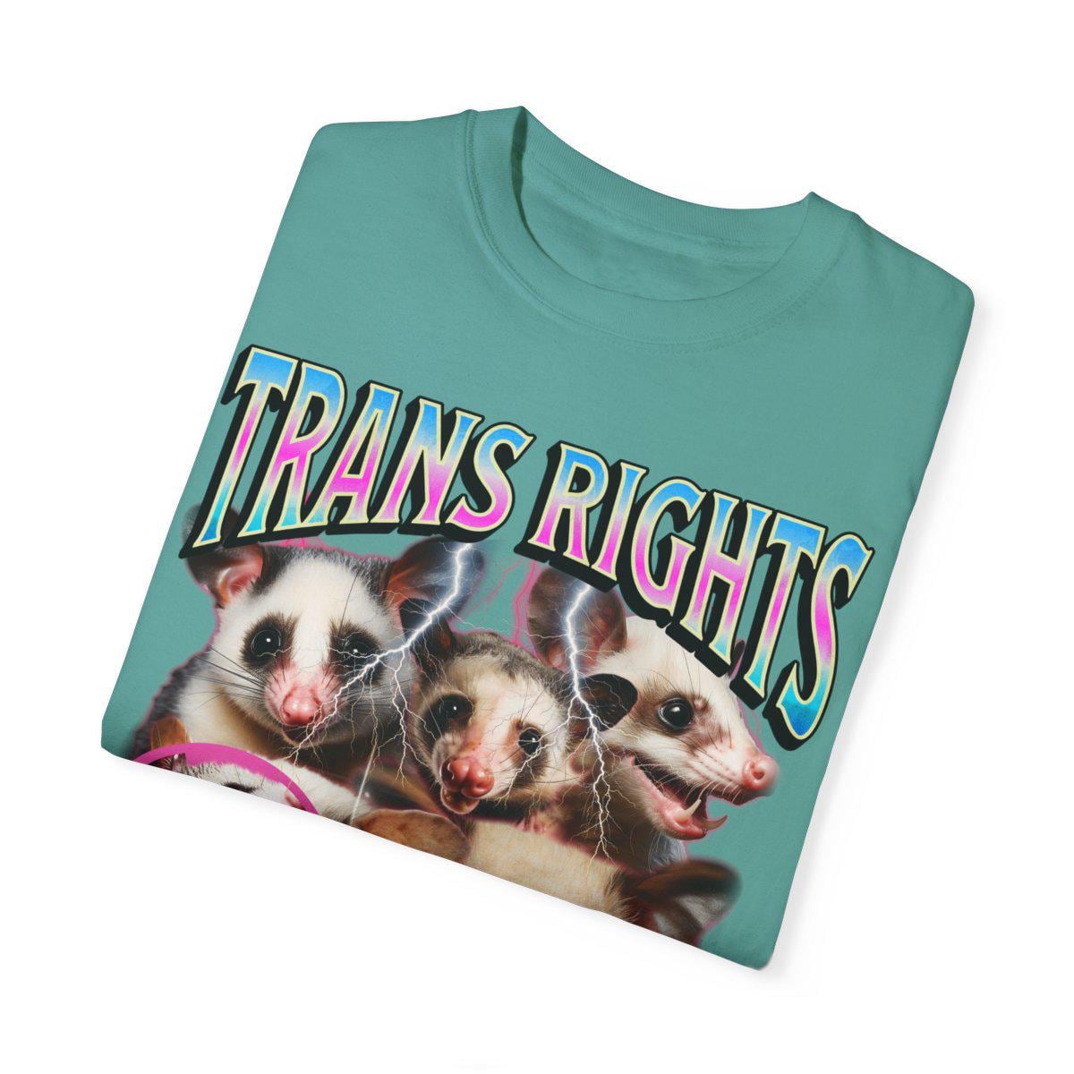 trans rights or i bites shirt | trans rights are human rights | possum shirt | protect trans kids | transgender gift | transgender art | mtf