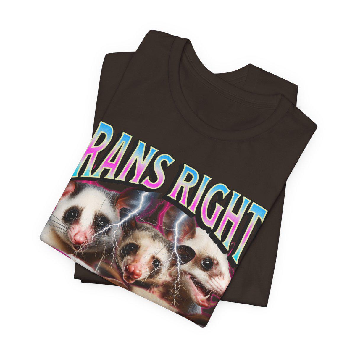 trans rights or i bites shirt | transgender shirt | protect trans kids | transgender gift | transgender mtf | trans ally | queer pride shirt