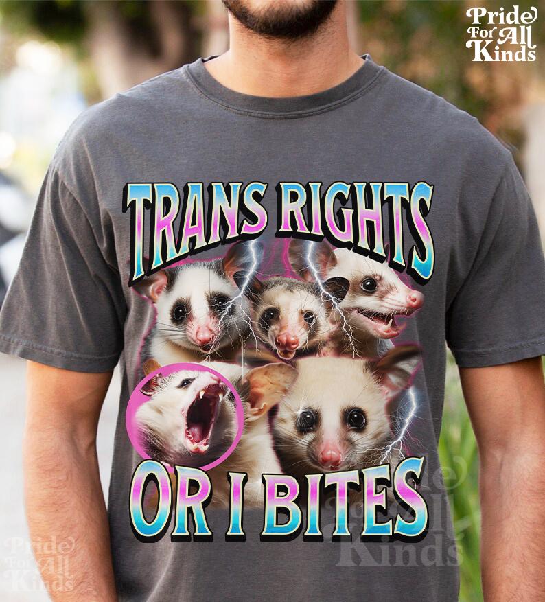 trans rights or i bites shirt | trans rights are human rights | possum shirt | protect trans kids | transgender gift | transgender art | mtf