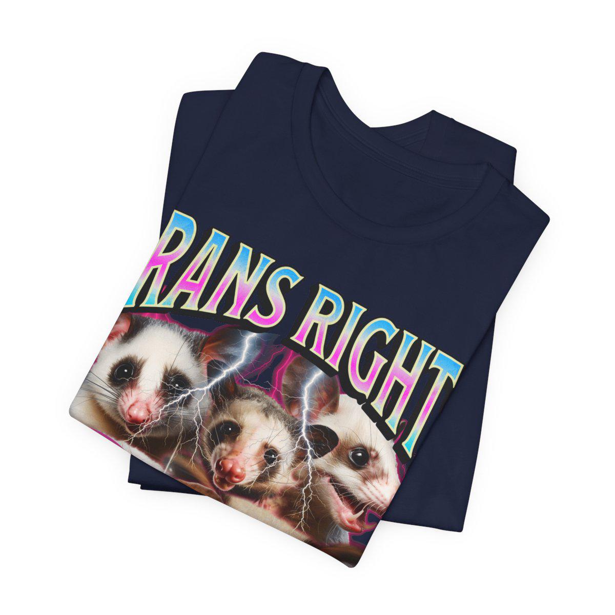 trans rights or i bites shirt | transgender shirt | protect trans kids | transgender gift | transgender mtf | trans ally | queer pride shirt