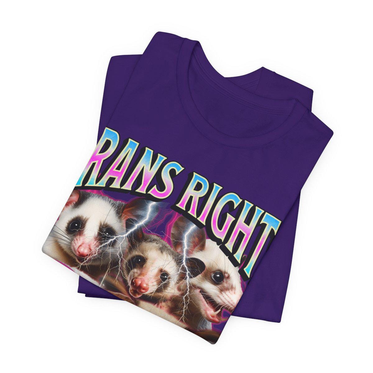 trans rights or i bites shirt | transgender shirt | protect trans kids | transgender gift | transgender mtf | trans ally | queer pride shirt