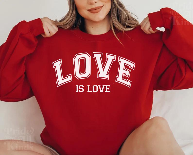Love is love valentines day sweatshirt | lesbian valentines | queer valentines gifts | gay valentines | bi pride subtle | subtle pride shirt