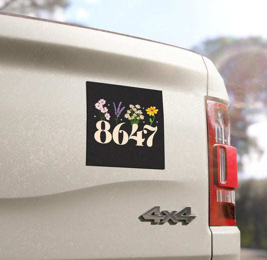 8647 car magnet
