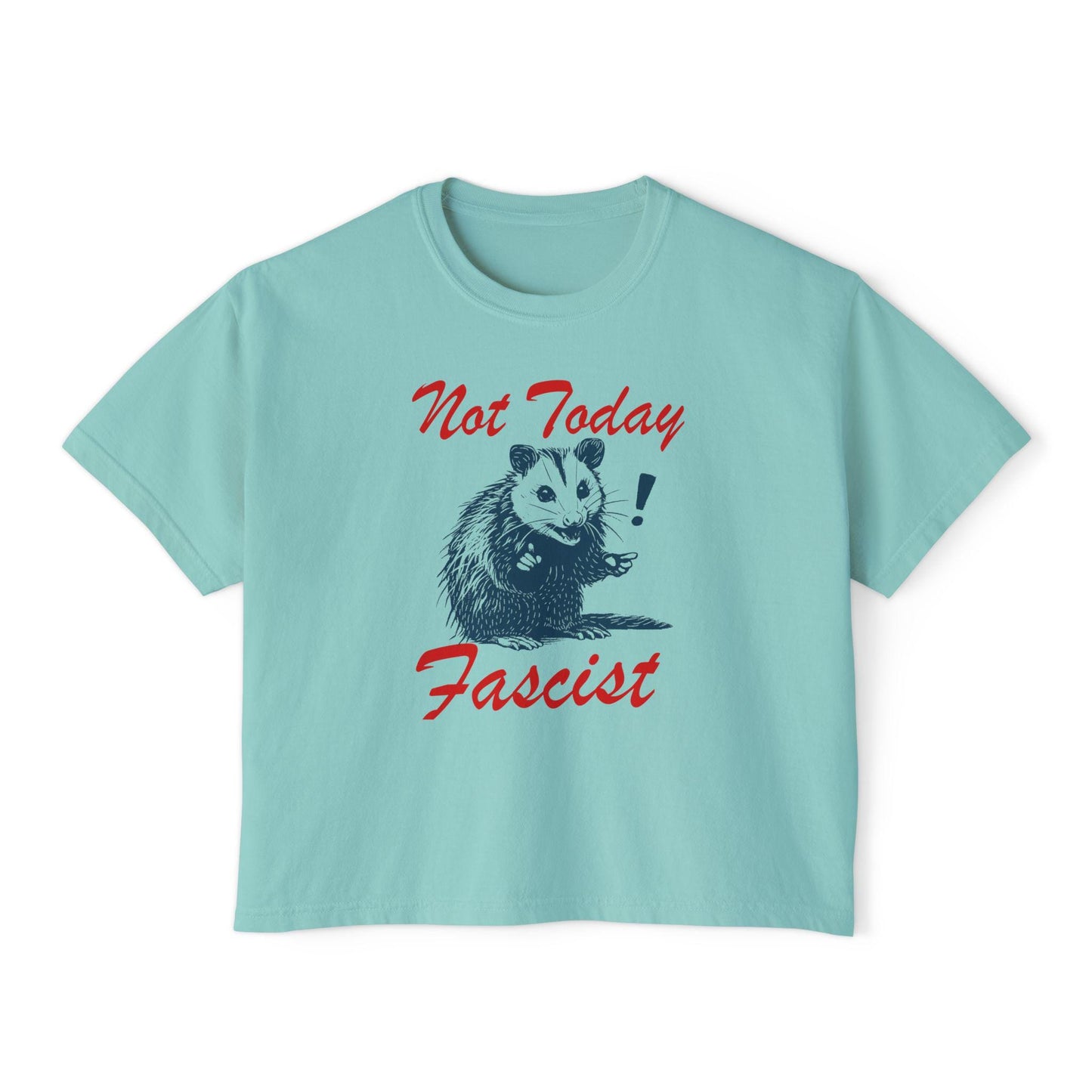 Not today crop top | feminist crop top | resist crop top | fight fascism | liberal tshirt | liberal feminist human rights | social justice