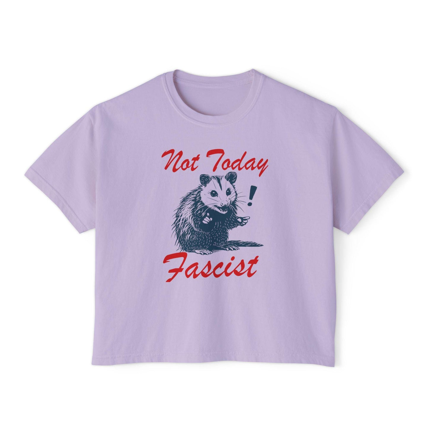 Not today crop top | feminist crop top | resist crop top | fight fascism | liberal tshirt | liberal feminist human rights | social justice