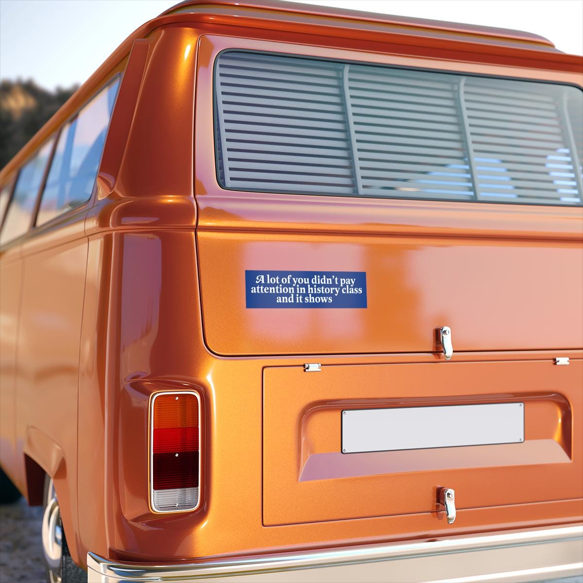 A lot of you didn't pay attention in history class and it shows car magnet or bumper sticker | political car magnet | car magnet liberal